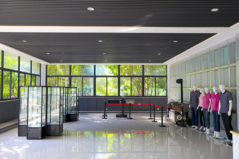 Jiaxing Shengbang Meicniúla Trealamh Co, Teo.